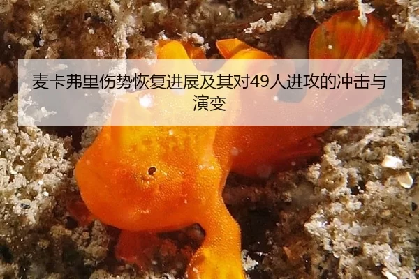 mai-ka-fu-li-shang-shi-hui-fu-jin-zhan-ji-qi-dui-ren-jin-gong-de-chong-ji-yu-yan-bian-3-826.jpg