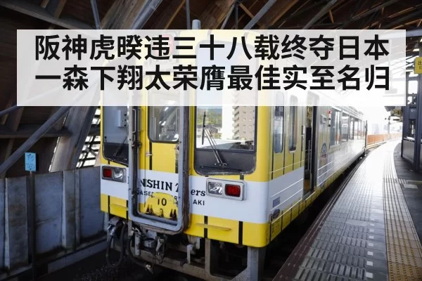 Hanshin Tigers celebration